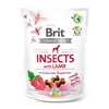 BRIT CARE DOG CRUNCHY CRACKER. INSECTS WITH LAMB ENRICHED WITH RASPBERRIES, 200 G