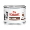 Royal Canin Canine/Feline Recovery Ultrasoft Mousse 195g