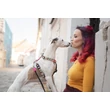Kép 5/8 - Max & Molly H-hám - Missy Pop - XS
