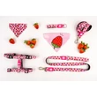Kép 4/6 - Max & Molly H-hám - Strawberry Dream - XS