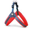 Max & Molly Q-Fit hám - Matrix Red - M