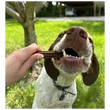 Marly & Dan Dental M - L for Dog 7 Dental Sticks 140g