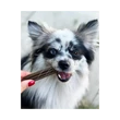 Kép 3/4 - Marly & Dan Dental S for Dog 7 Dental Sticks 100g