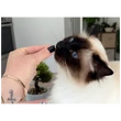 Marly & Dan Hairball Treats for Cat