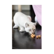 Marly & Dan Booster Omega 3 Treats for Cat