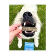 Marly & Dan Salmon Skin Regeneration Omega 3