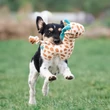 Max & Molly Huggles Toy sípolós plüss - Giraffe Jerry