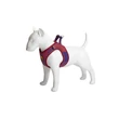 Max & Molly Air Vest hám - FC Barcelona/S