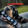 Max&Molly Smart ID Collar nyakörv - Garden