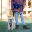 Max & Molly póráz - FC Barcelona - S