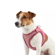 Max & Molly Matrix 2.0 Air Vest hám - Rose