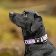 Max&Molly Matrix 2.0 Smart ID Collar nyakörv - Lavender