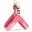 Max & Molly Q-Fit hám - Matrix 2.0 Rose - XS