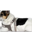 Max & Molly Q-Fit hám - Sand - S