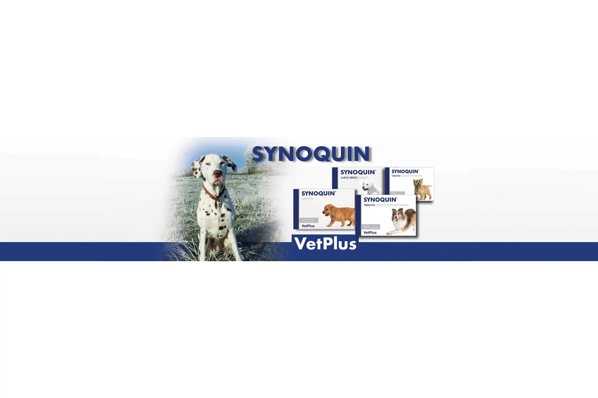 Synoquin – ízületvédelem felsőfokon