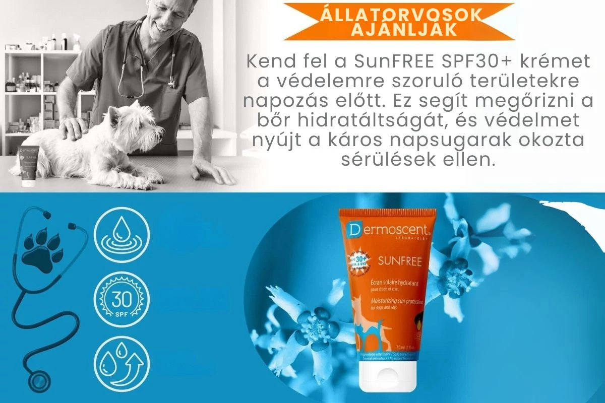 Dermoscent SUNFREE – A tökéletes napvédelem kutyáknak és macskáknak
