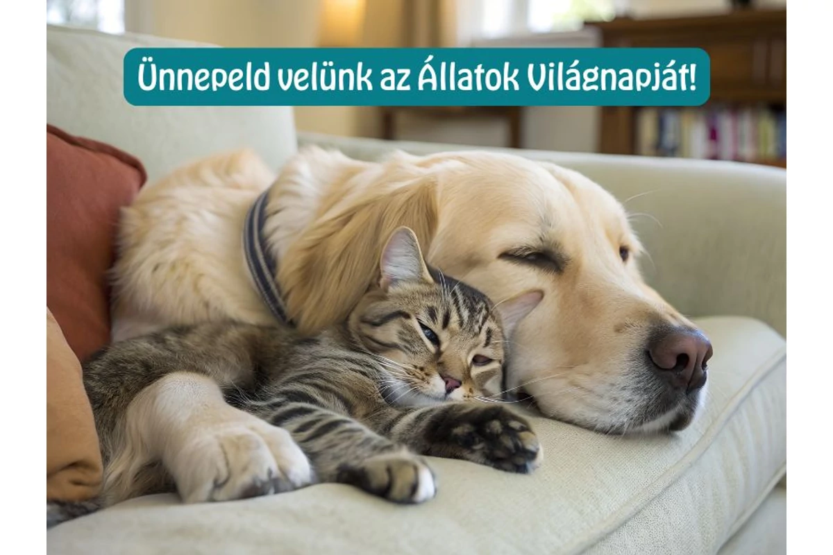 Ünnepeljük együtt az Állatok világnapját!