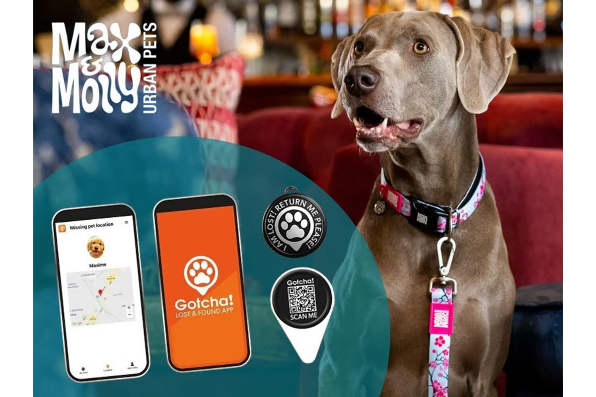Max &amp; Molly Smart ID nyakörvek