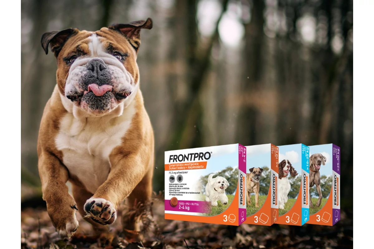 Frontpro - ízletes rágótabletta kutyáknak bolhák és kullancsok ellen