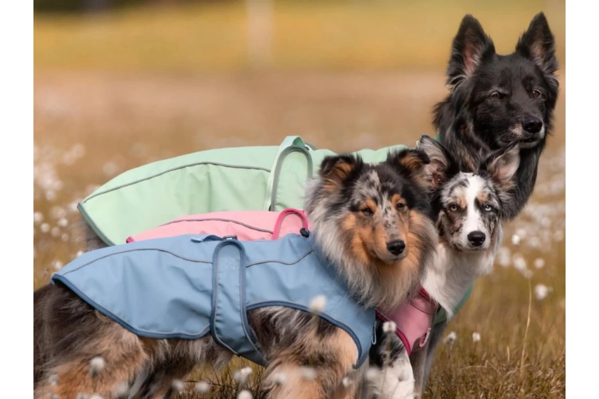 Tavaszi megújulás - kalandra fel a Max&amp;Molly-val!