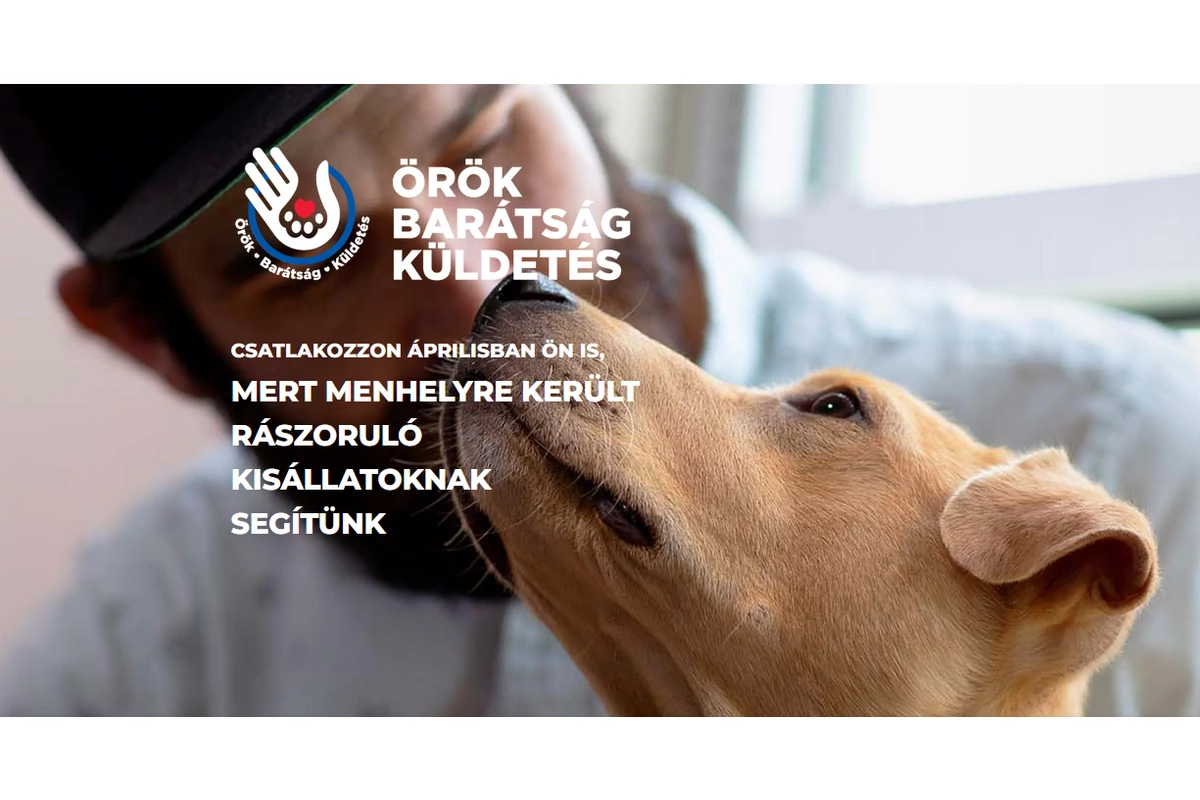 Hill's Örök Barátság Kampány - segíts menhelyi kutyáknak örök otthonra találni!