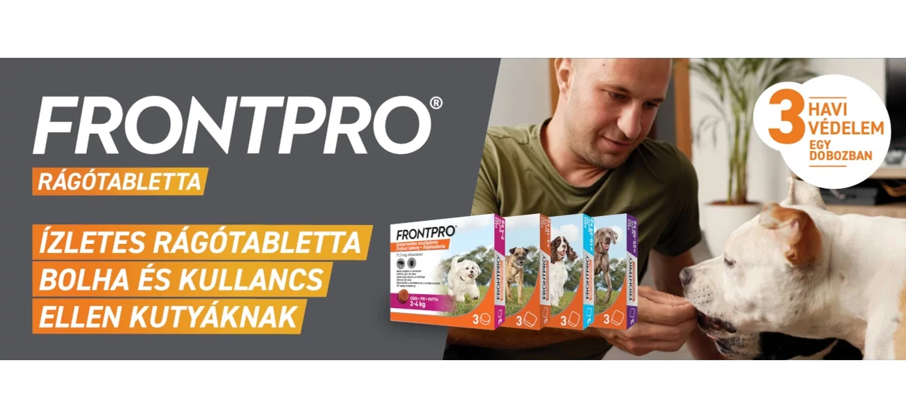 Frontpro