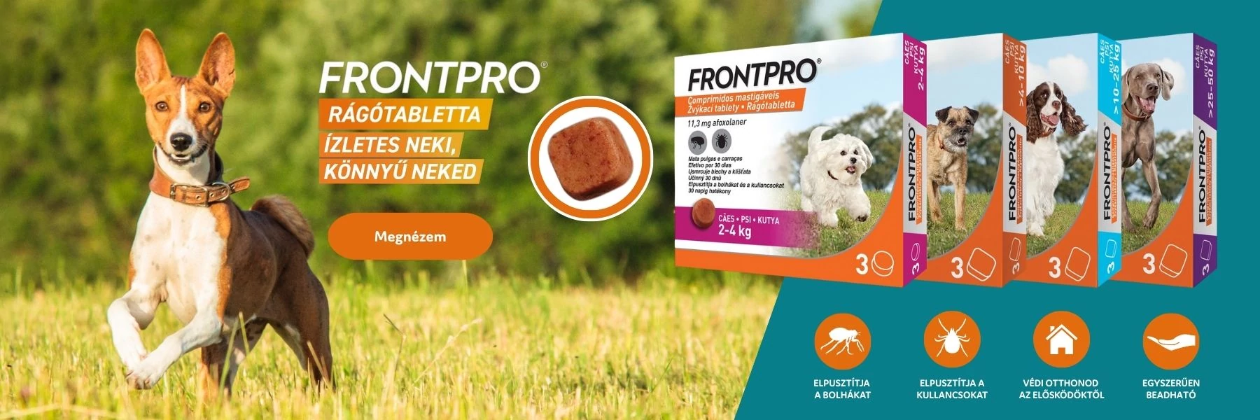 Frontpro