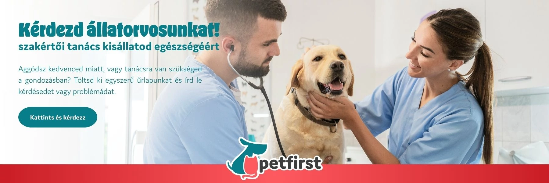 Kérdezd állatorvosunkat