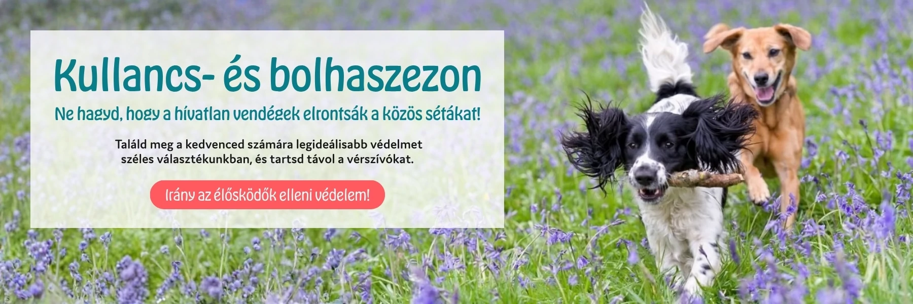 Élősködők elleni védelem