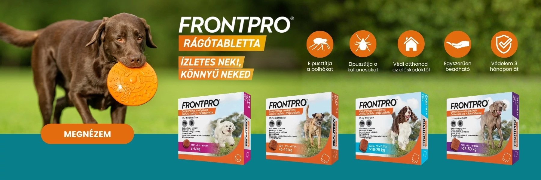Frontpro