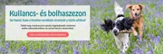 Élősködők elleni védelem