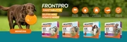 Frontpro
