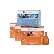 Dermoscent Essential 6 spot-on macskák részére 4 x 0.6ml