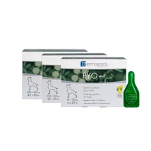 Dermoscent PYOspot kutyák számára