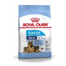 Royal Canin Maxi Starter Mother Babydog 4kg