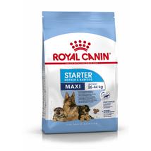 Royal Canin Maxi Starter Mother Babydog 15kg