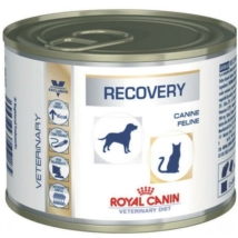 Royal Canin Recovery Liquid Canin/Feline tápfolyadék 195g