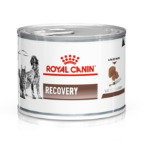 Royal Canin Canine/Feline Recovery Ultrasoft Mousse 195g