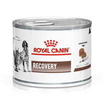 Royal Canin Canine/Feline Recovery Ultrasoft Mousse 195g