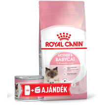 Royal Canin Mother & Babycat szárazeledel 2kg + AJÁNDÉK konzerv