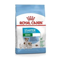Royal Canin Mini Starter Mother Babydog 1kg lejárat 08.09