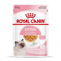 Royal Canin Kitten Jelly zselés kölyöktáp – 12x85g