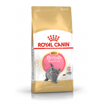 Royal Canin British Shorthair Kitten fajtatáp 400g