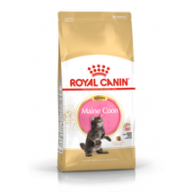 Royal Canin Maine Coon Kitten fajtatáp 400g