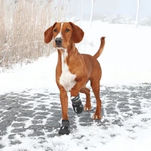 Trixie Walker Active Protective kutyacipő S-M