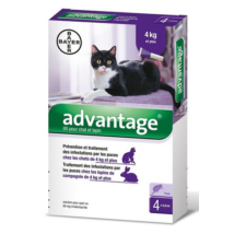 Advantage 80 spot-on macskáknak és nyulaknak 4-8kg között 1db