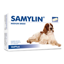 Samylin Medium Breed tabletta 30db