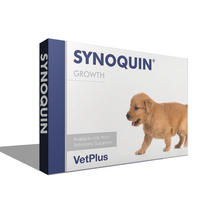 Synoquin Growth puppy 60db
