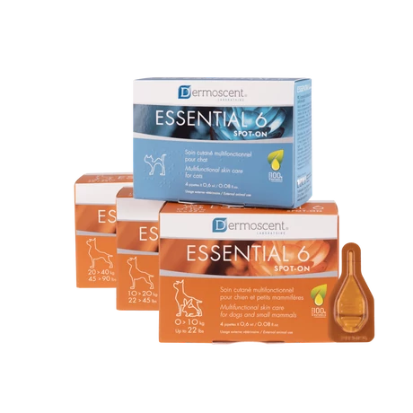 Dermoscent Essential 6 spot-on macskák részére 4 x 0.6ml