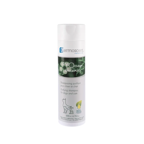 Dermoscent PYOclean Sampon antibakteriális és gombaellenes sampon